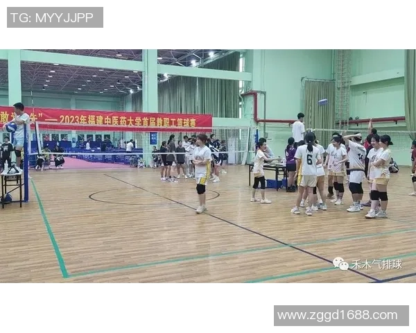 成都排球队的节奏变革引发热议探索新战术与团队协作的未来发展